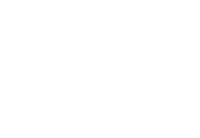 365 Digital logo